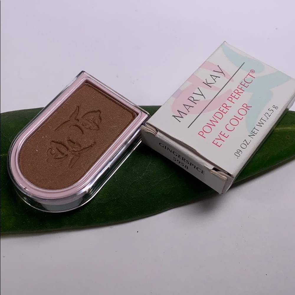 Mary Kay Gingersnap Powder Perfect Eye Color 5958